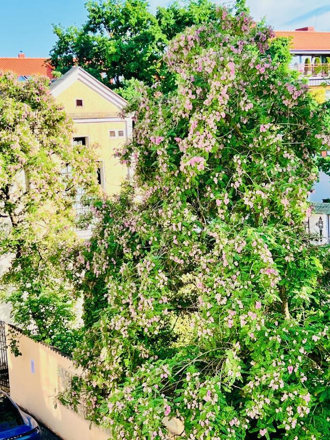 Super Apartment Old Town Klaipeda Exterior foto